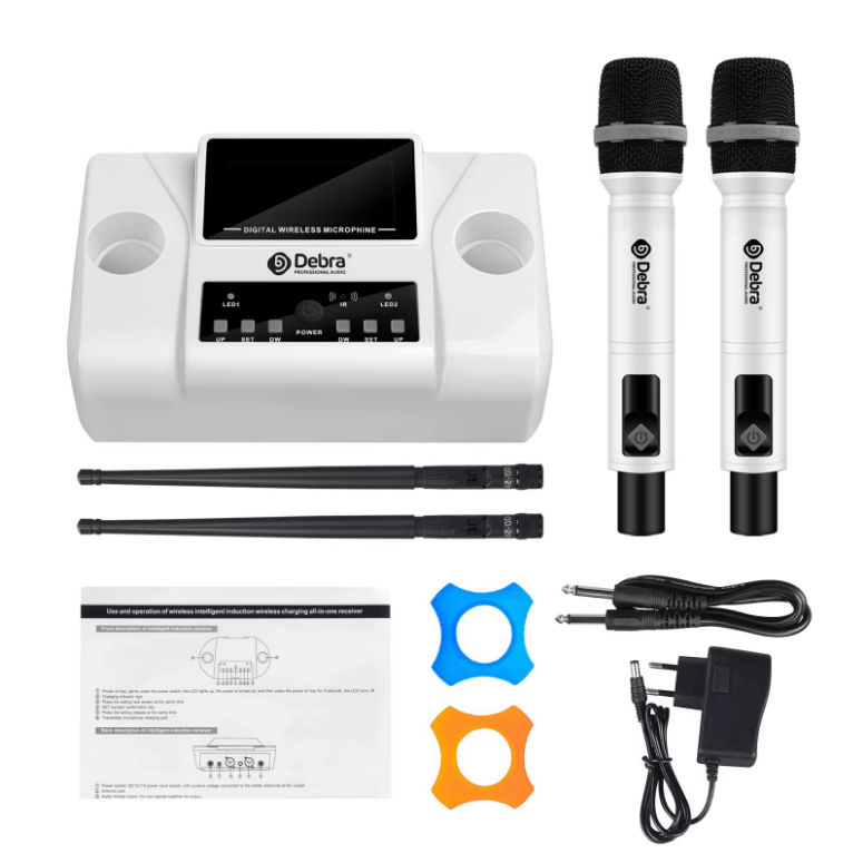 Microfono Inalambrico WM-2W-1