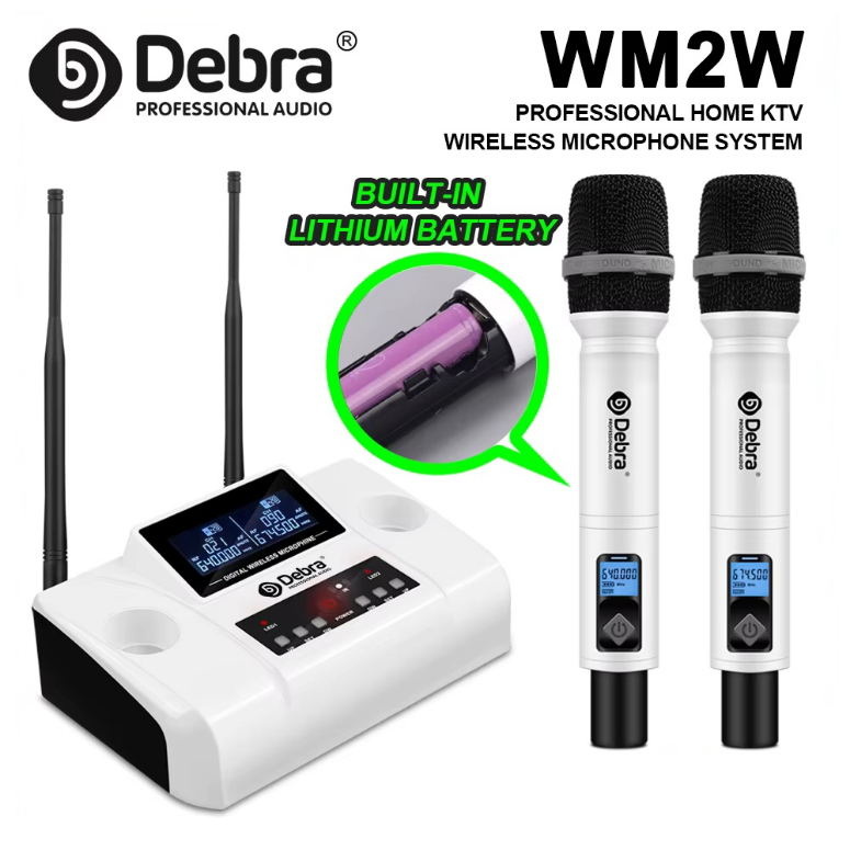 Microfono Inalambrico WM-2W-2