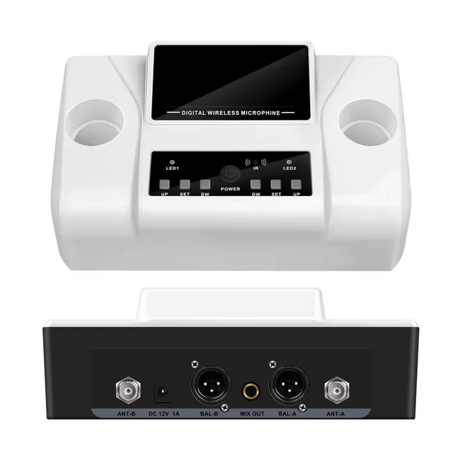 Microfono Inalambrico WM-2W-3