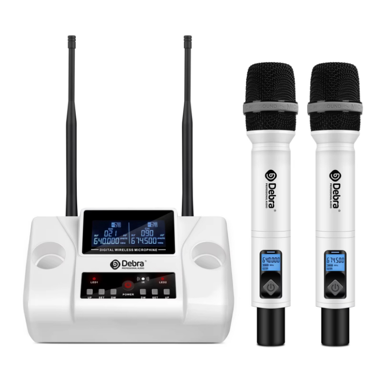 Microfono Inalambrico WM-2W