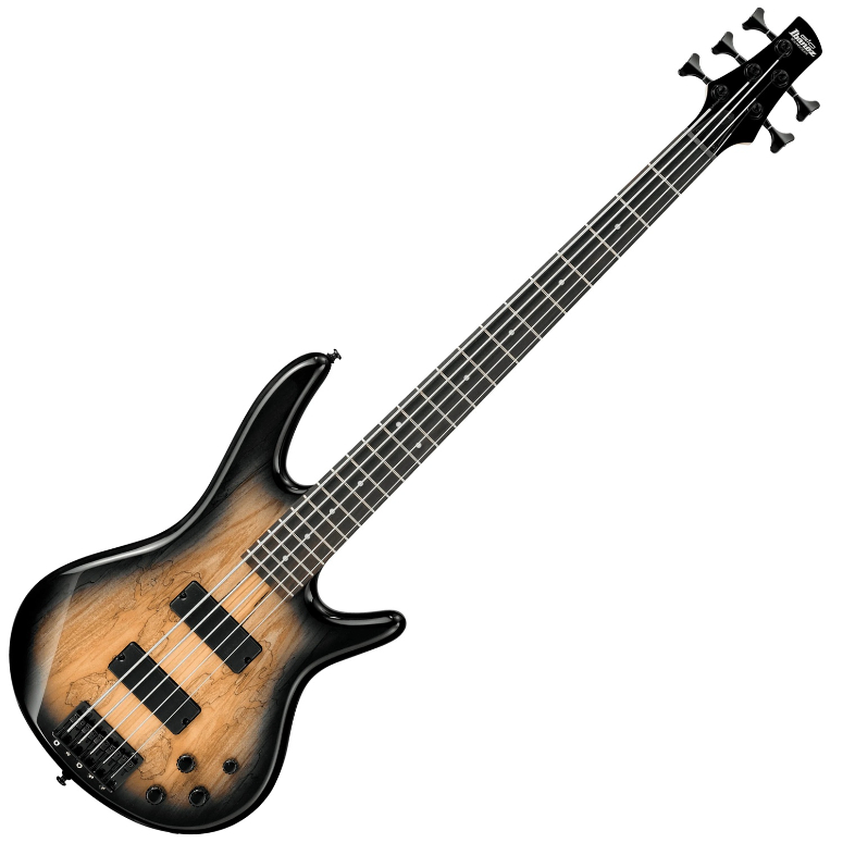 Bajo electrico de 5 cuerdas GSR 205SM-1