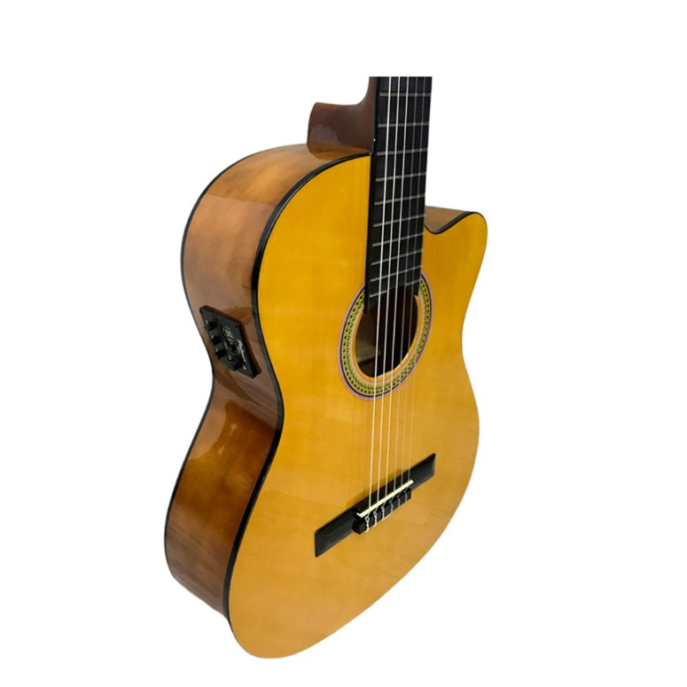 Guitarra Electroacustica PC-13PEQ1 LB -1