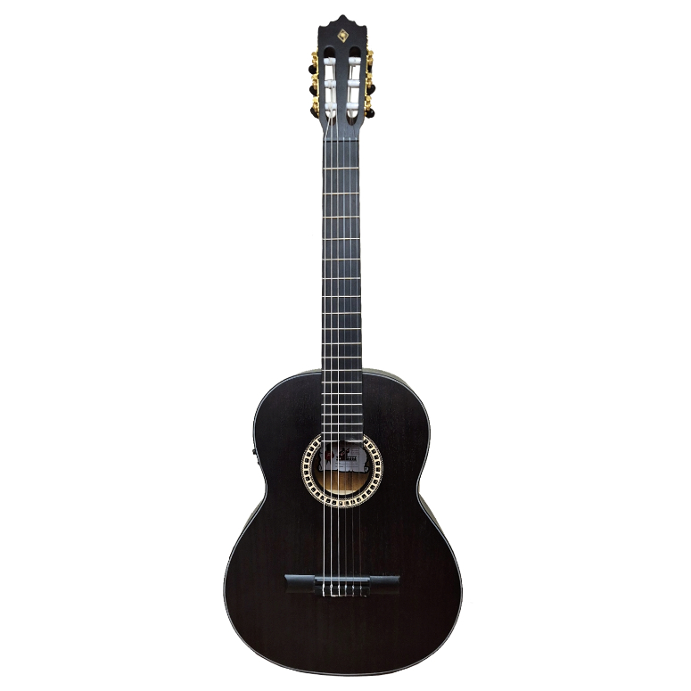 Guitarra Electroacustica PC-17EQ TBK
