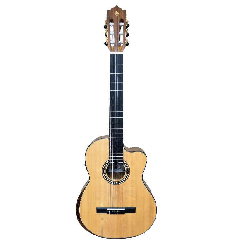Guitarra electroacustica PC-19 SEQN
